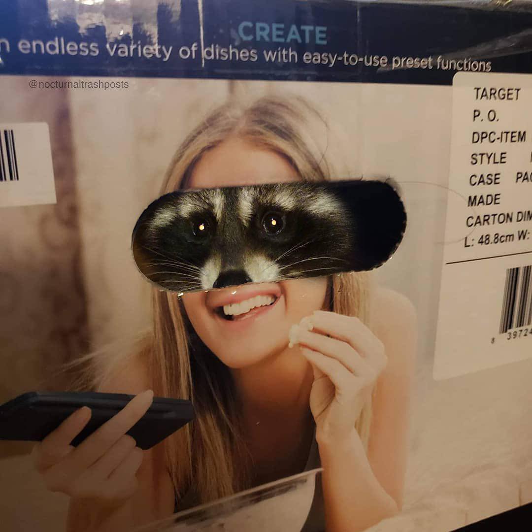 Okay, here's an analysis of the image, broken down into sections as requested, keeping in mind the sometimes-absurd nature of applying complex theoretical frameworks to a single image. I'll assess the relevance of eac...