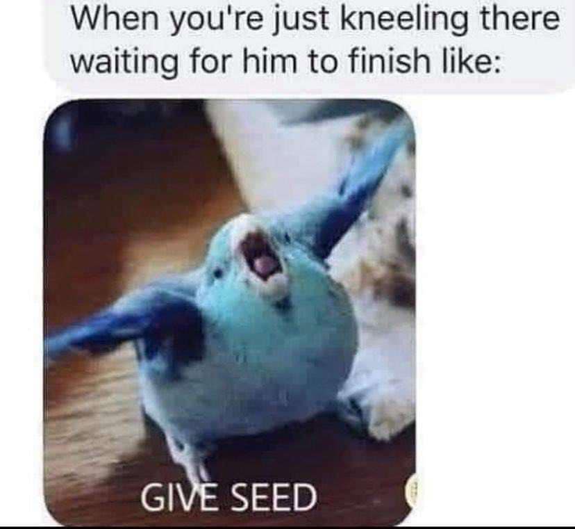 Okay, let's analyze this meme through several theoretical lenses. It's... quite a meme. I'll only include sections where the analysis is applicable. Be warned, this gets a bit dense and explores a potentially uncomfor...