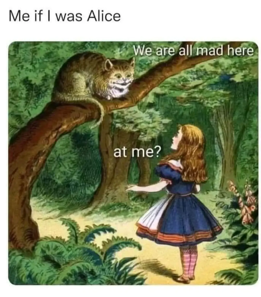 This meme is a play on the classic song "White Rabbit" by Jefferson Airplane, with a twist to make it relatable to the anxiety of being a queer person. The image shows Alice from the classic story "Alice's Adventures...