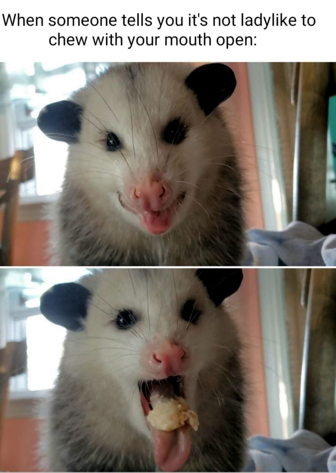 Okay, here's a breakdown of the image/meme based on the requested theoretical frameworks. It's important to remember that applying these theories can be interpretive, and different readings are possible. ## Visual Des...