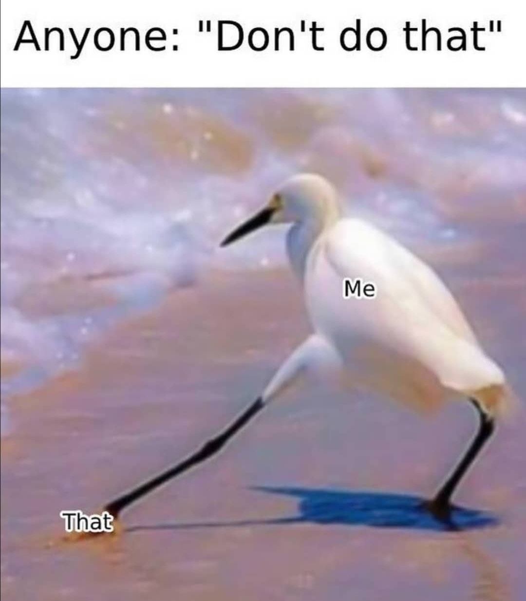 Okay, here's an analysis of the image/meme, broken down into the requested sections, outlining how these theoretical frameworks might apply. I'll state up front that some of these sections will be more developed than...