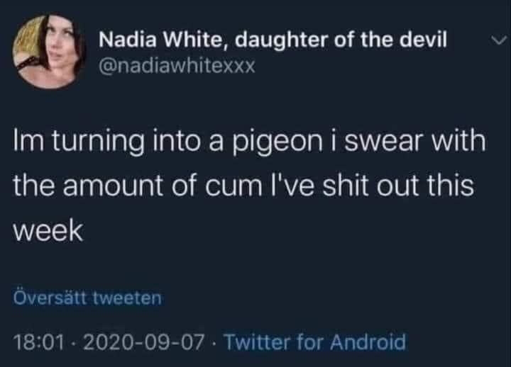 Okay, here's an analysis of the provided Twitter post broken down into the requested sections. Given the content, some sections will be more relevant than others, and some may be quite brief. Please be aware this cont...