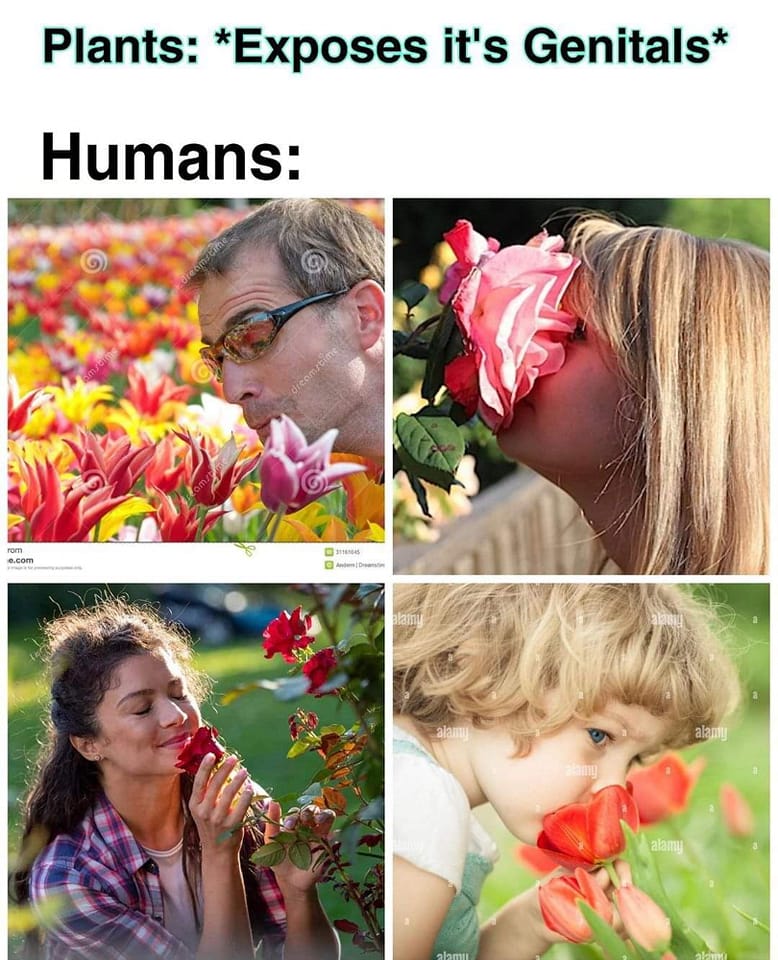 Okay, here's an analysis of the image collage based on your requested theoretical frameworks. It's important to note that applying these complex theories to a visual collage like this can be interpretive and lead to s...