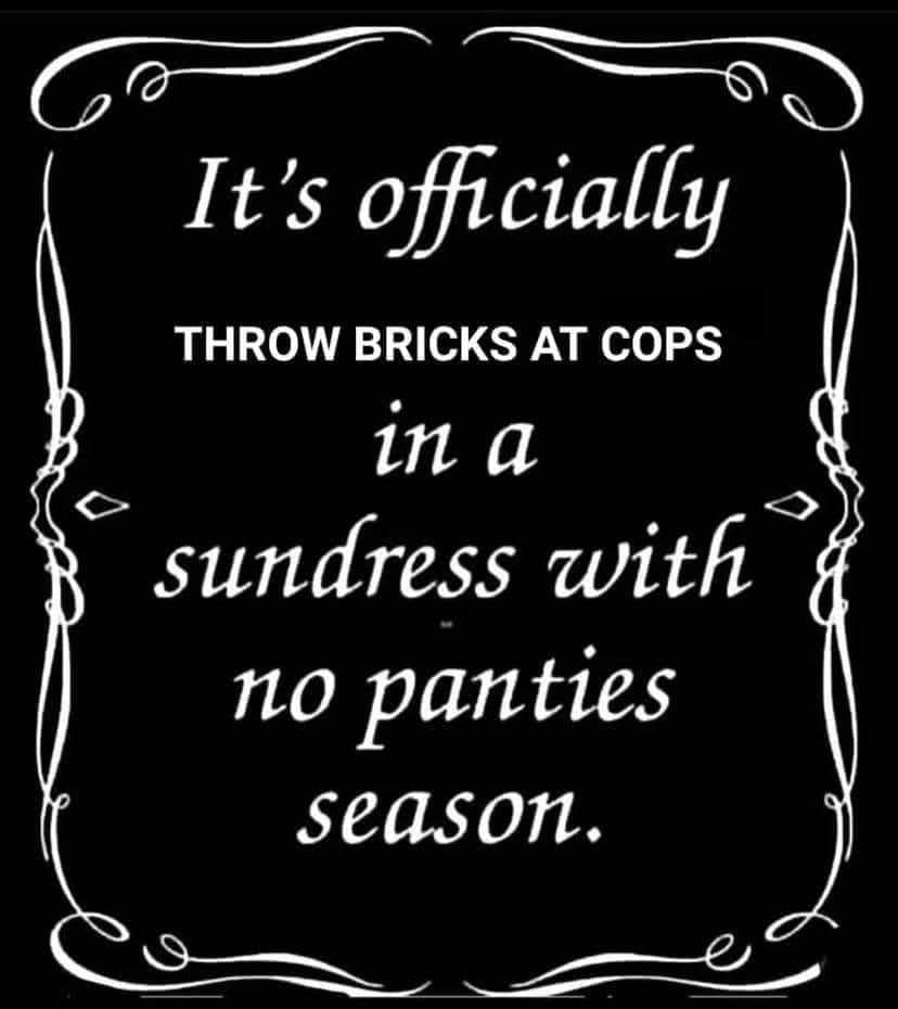 Here's an analysis of the image, broken down into the requested sections. Please be aware that the content is potentially provocative and engages with sensitive topics (police brutality, protest, sexualization). The a...