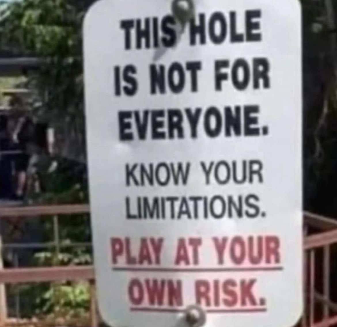 Here's a breakdown of the image and its potential analyses, organized into the sections you requested. I'll indicate where a section doesn't quite fit, and explain why. **Visual Description** The image shows a rectang...