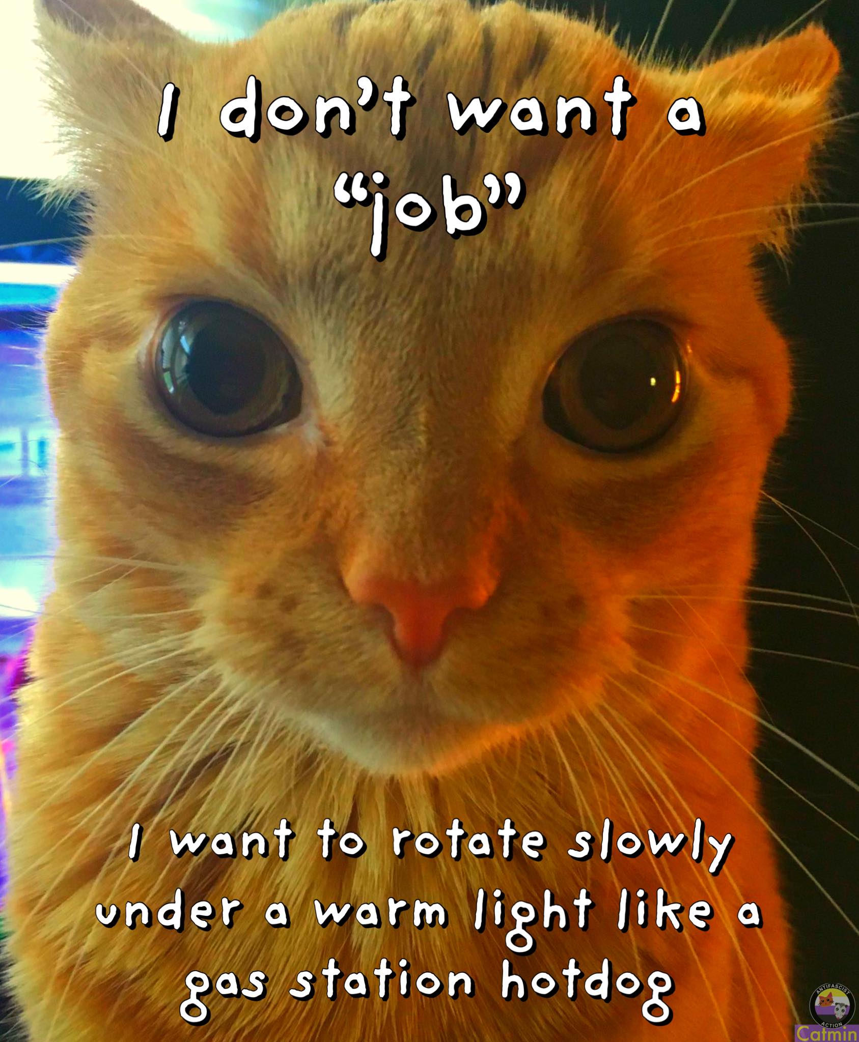 Okay, here's a breakdown of the image, approached through the requested theoretical lenses. Note that some lenses won't fit as strongly as others, and I'll explain why. ## Visual Description The image features a close...