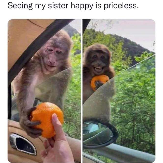 Okay, here's a breakdown of the image and its potential interpretations, approached through the lenses you requested. I'll clearly indicate when a section isn't applicable, as some theoretical frameworks are a stretch...