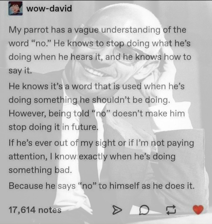 Okay, here's an analysis of the provided text/image, broken down into relevant sections as requested. Given the nature of the post, some sections will be more developed than others. **Visual Description** The image is...