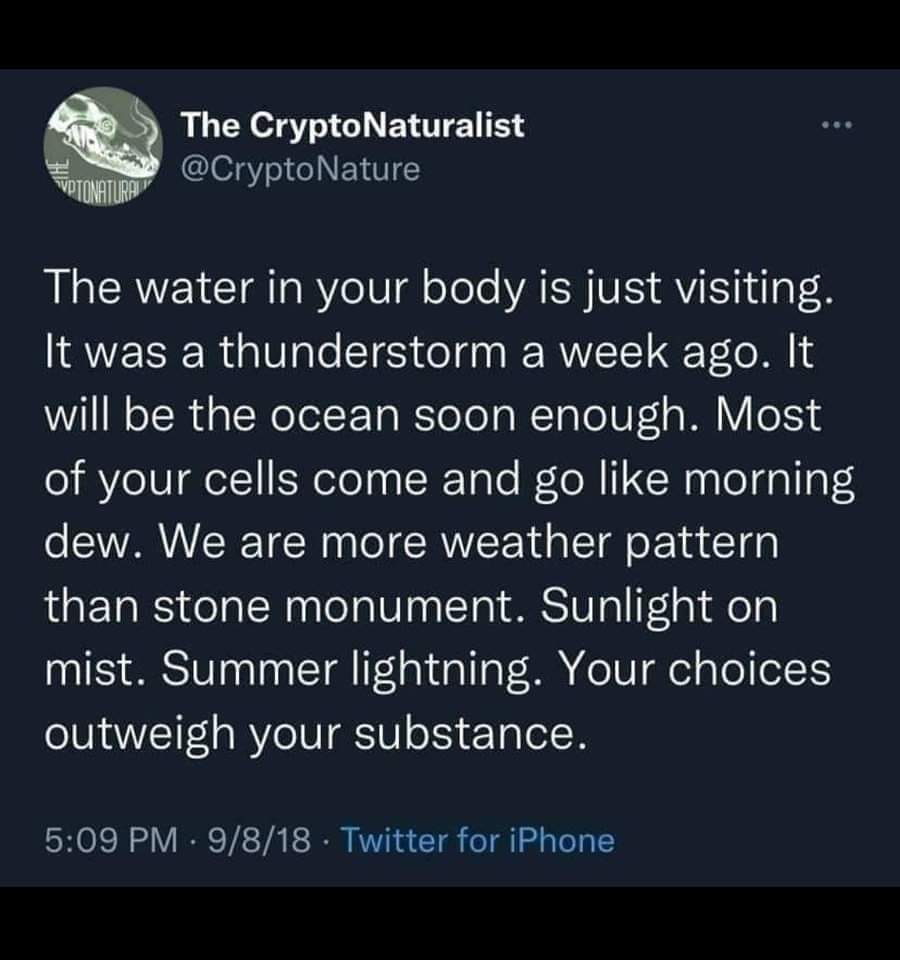 Okay, let's break down this Twitter post from "The CryptoNaturalist" through the lenses you've requested. It's a dense little piece of writing, so there's quite a bit to unpack. **Visual Description** The image is a s...