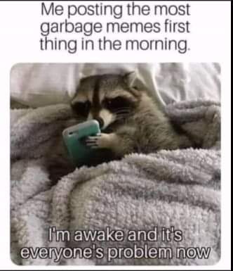 Okay, let's break down this meme through various theoretical lenses. ## **Visual Description** The meme features a photograph of a raccoon nestled snugly in a fluffy, white blanket. The raccoon is holding a smartphone...
