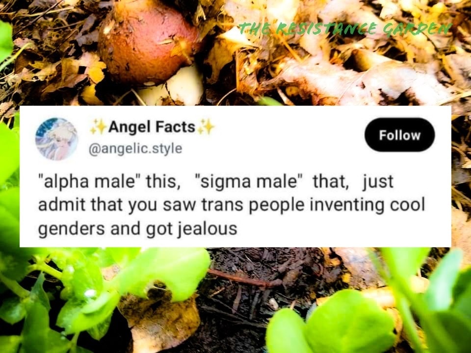 Okay, here's an analysis of the image provided, broken down into sections as requested. I'll only include sections where the concepts are readily applicable, and will explain how the content fits. **Visual Description...