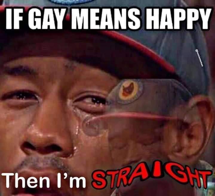 This meme is an example of post-structuralist humor, which challenges traditional notions of language and meaning. The image is a screenshot of a TV show or movie where a character is saying "If gay means happy, then...