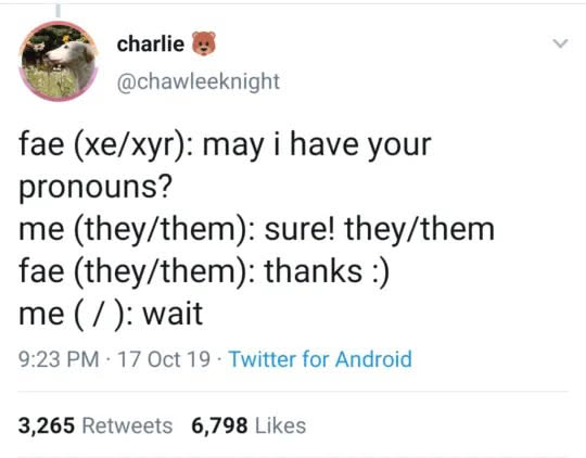 The meme depicts a nonsensical interaction where one avatar asks for pronouns but is met with a pause, revealing that identity often defies rigid categorization. The text shows: "fae (xe/yr): may i have your pronouns?...