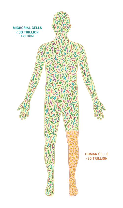 Okay, here's a breakdown of the image, analyzing it through the lenses you requested. I'll include sections only where the theoretical frameworks feel relevant. **Visual Description** The image depicts a human silhoue...