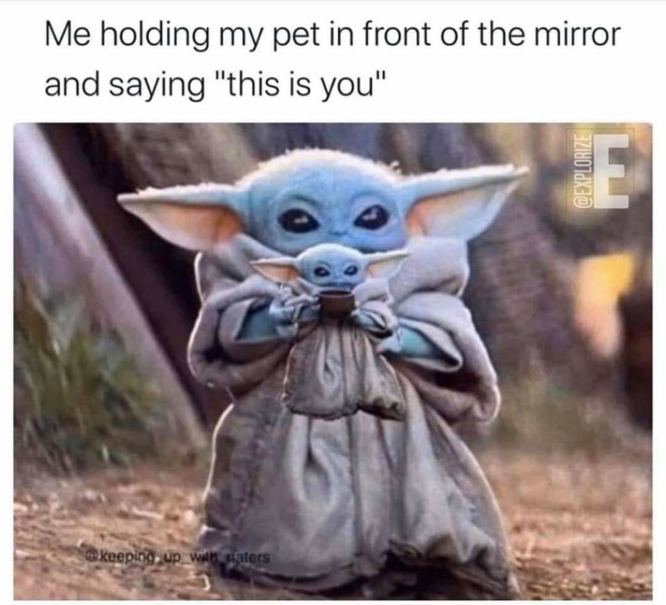 Okay, here's an analysis of the image and caption, broken down into the requested theoretical frameworks. I’ll indicate where a specific framework *doesn't* strongly apply. **Visual Description** The image features "B...