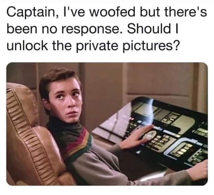 Okay, here's an analysis of the image and text, broken down into the requested sections. It's a bit of a humorous situation, so some of these analyses will be speculative and leaning into the irony of the meme. **Visu...