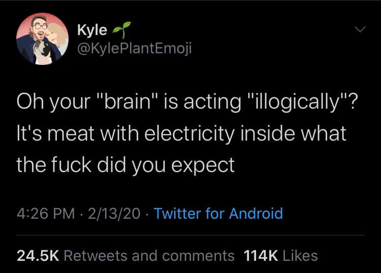 Okay, let's break down this Twitter post through the lenses you've provided. It's a fairly provocative statement, so there's quite a lot to unpack! **Visual Description** The image is a screenshot of a tweet. It shows...