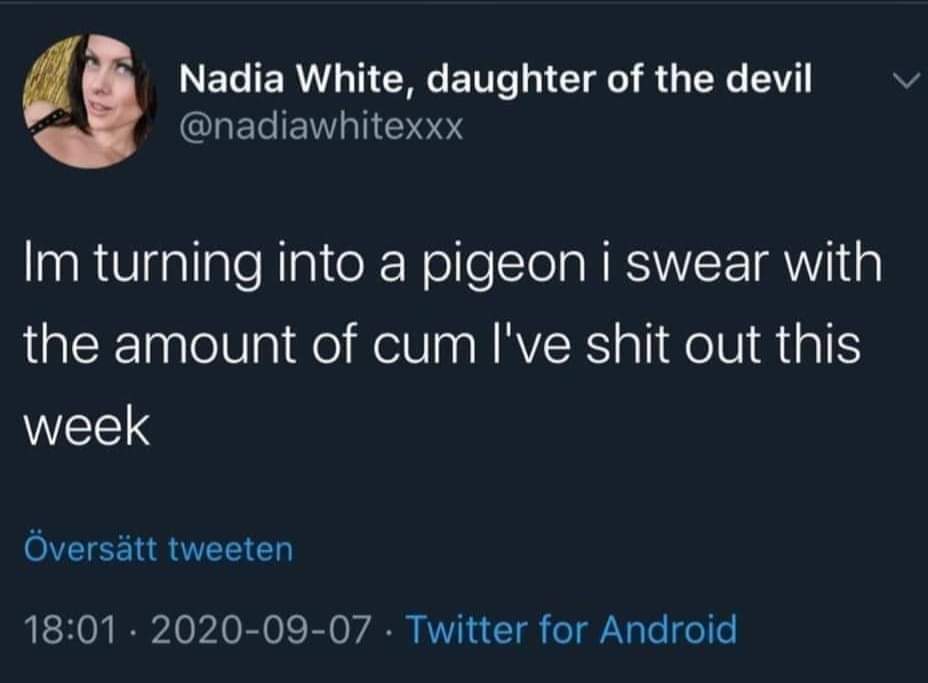 Okay, let's break down this tweet using the theoretical frameworks you requested. Be warned, this tweet is intentionally provocative and deals with explicit content, so the analysis will necessarily engage with that....