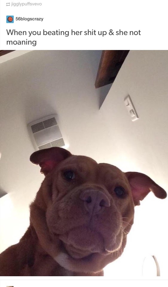 Okay, here's an analysis of the image and accompanying text, broken down into sections as requested, focusing on relevant theoretical frameworks. Given the provocative and potentially disturbing nature of the text, an...