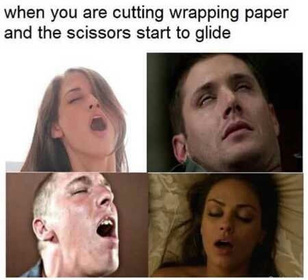 Here's an analysis of the meme, broken down into sections based on the requested theoretical frameworks. It's important to note that applying these theories to a *meme* is somewhat of an exercise, as the image is inhe...