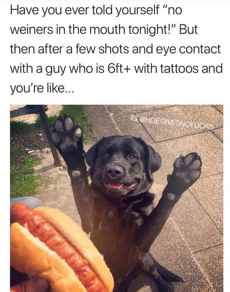 Okay, let's break down this meme through several theoretical lenses. It's a bit of a playful meme, so some of these will feel more stretched than others, but let's do our best to apply the frameworks. **Visual Descrip...