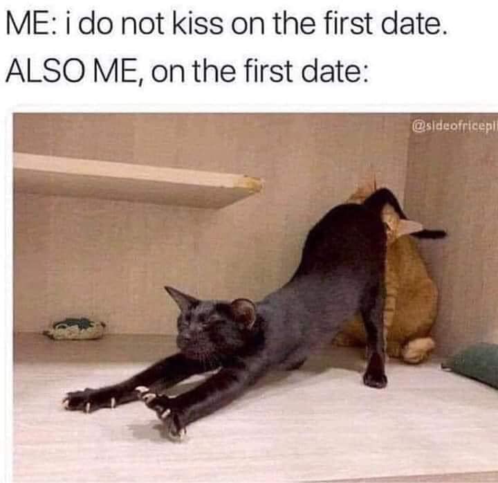 Okay, let's break down this meme through several theoretical lenses. Please note that applying such frameworks to a seemingly simple internet image involves a degree of interpretive stretching – but that’s also the po...