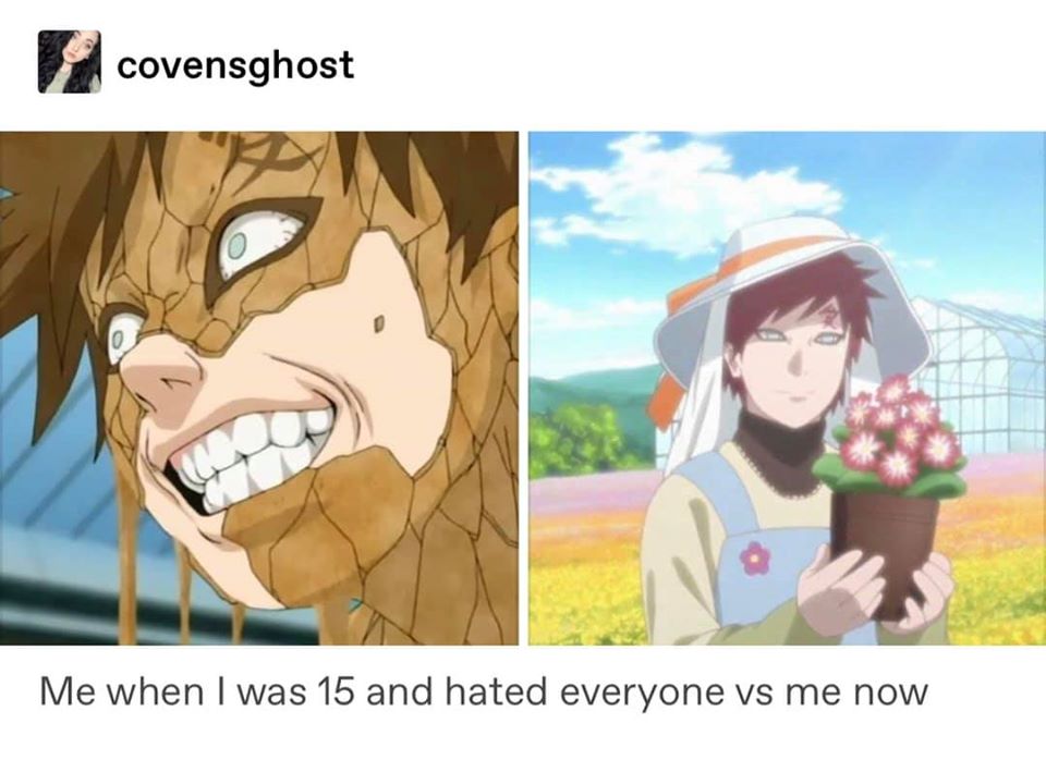 Okay, let's break down this meme through the lenses of several theoretical frameworks. I'll only include sections that genuinely apply – some of these theories won't be a good fit. ## Visual Description The meme prese...