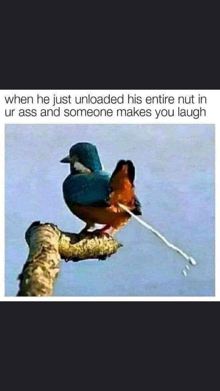 Okay, here's an analysis of the image and caption, broken down into the requested theoretical frameworks. **Please be warned: the image and caption contain explicit and potentially offensive language and imagery. This...