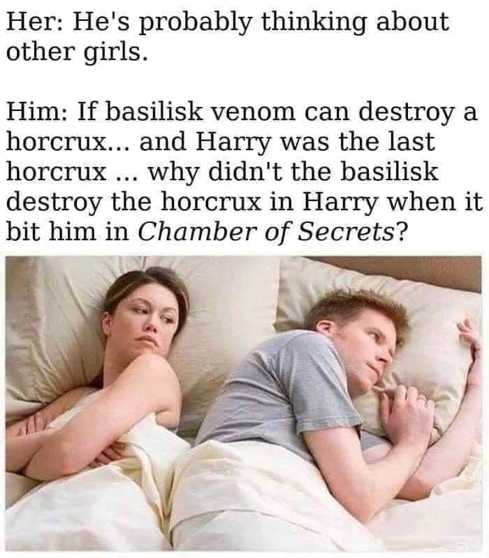 Okay, let's break down this image and its text using the requested theoretical frameworks. It's a rich meme, layering domestic conflict with surprisingly complex lore from the *Harry Potter* universe. **Visual Descrip...
