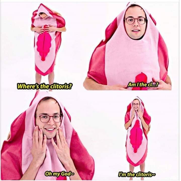 Okay, here's an analysis of the meme image, broken down into relevant sections. Given the content, a Queer Feminist Intersectional Analysis will be the most substantial section, with other frameworks applied as releva...