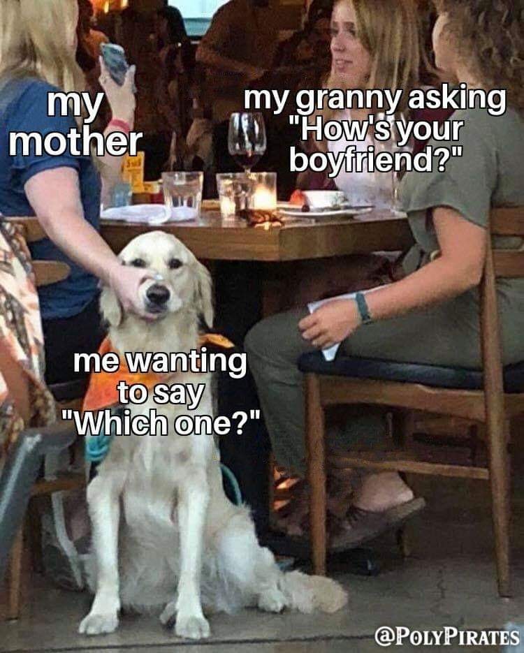 Okay, let's break down this meme using the requested theoretical lenses. It's a rich little image, actually! ## Visual Description The image is a still from the American sitcom *Friends*. It features three women seate...