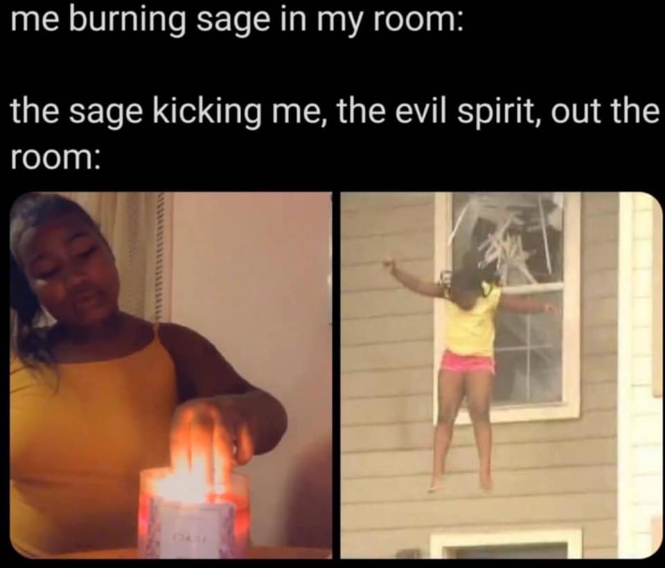 Okay, here's an analysis of the meme, broken down into sections as requested. I'll indicate where sections aren't applicable, as some theories won't really *fit* this image. **Visual Description** The meme is a two-pa...