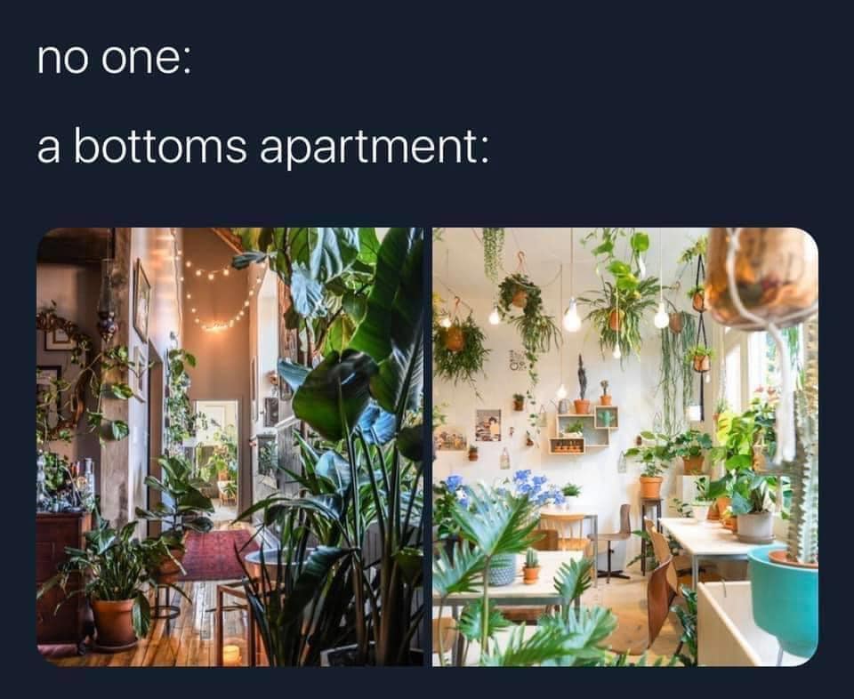 Okay, let's break down the image and its caption ("no top: a bottoms apartment") through the lenses you've provided. It's a bit of a playful prompt, so we'll lean into the interpretations that emerge from that. **Plea...