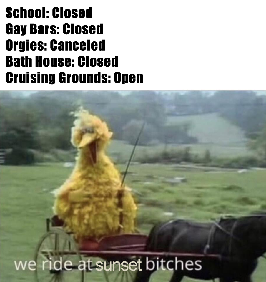 Okay, here's an analysis of the image and text, broken down into relevant theoretical sections. It's important to acknowledge that this image is *very* online, layered with irony, and relies on a specific cultural con...