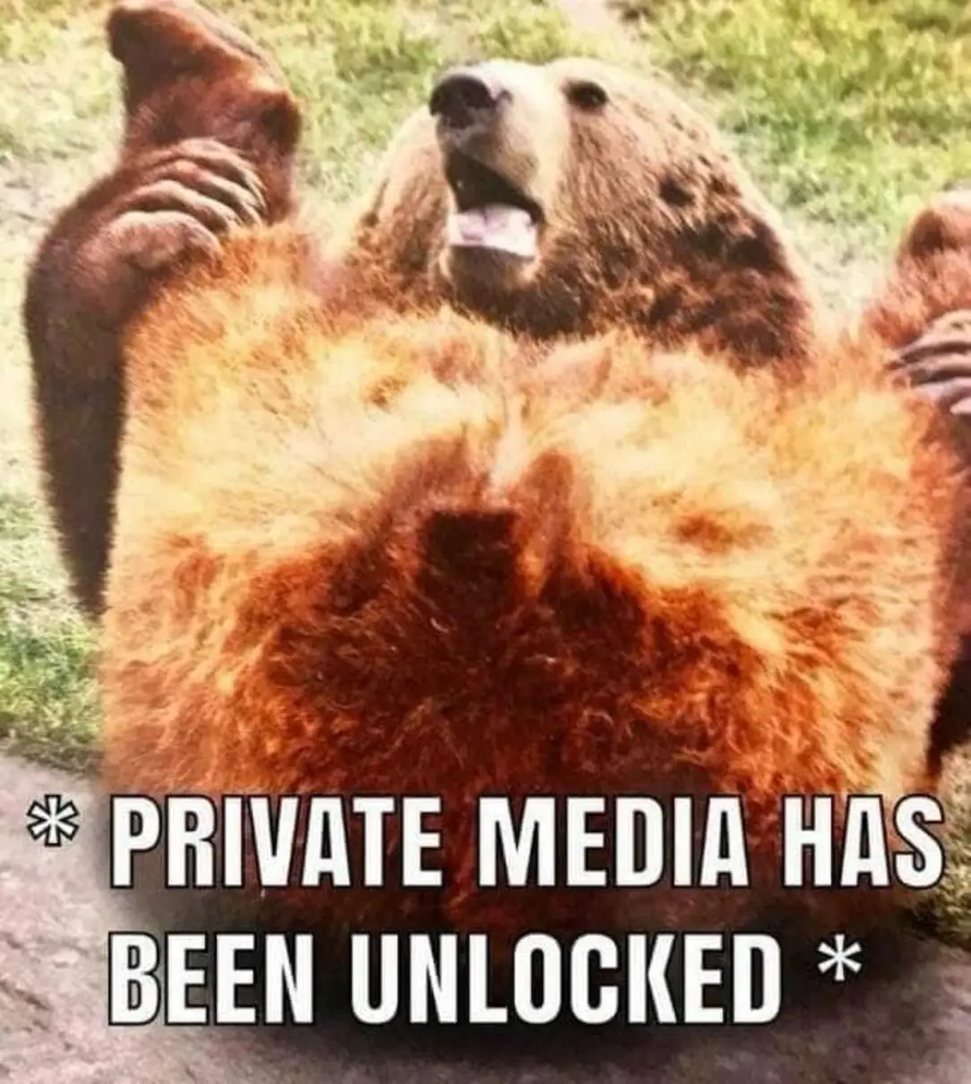 Okay, here's an analysis of the image, broken down into the requested sections. Some sections will be short or non-existent if they don't apply strongly to the image and its textual overlay. ## Visual Description The...