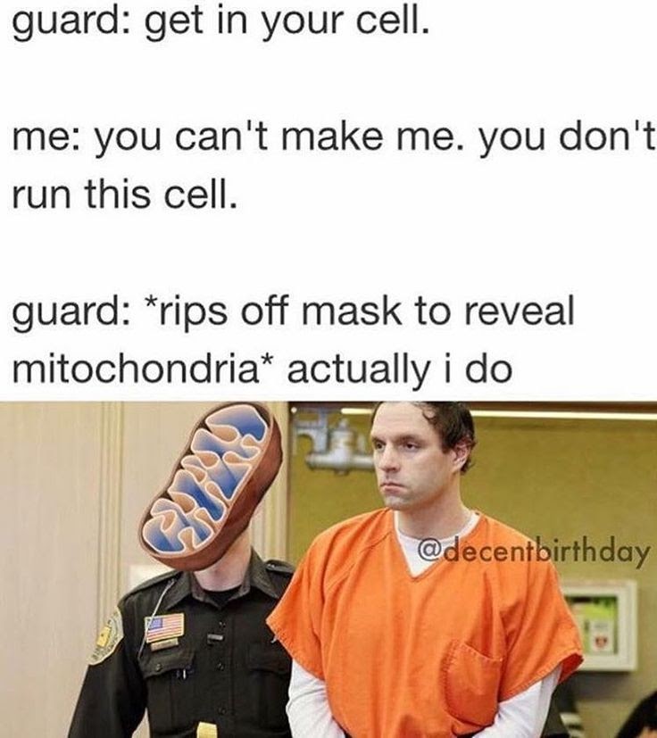 Okay, let's break down this meme through the lenses you've provided. It's a layered piece, surprisingly rich for a simple image macro. **Visual Description** The meme features a dialogue exchange followed by a photo....