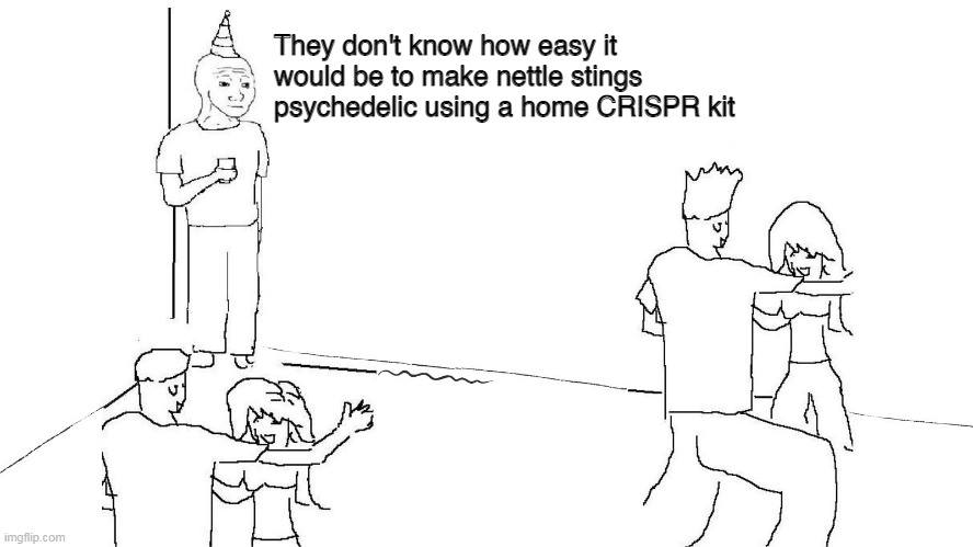 Okay, here's an analysis of the image, broken down into the requested sections. It's a bit absurdist, as the prompt itself is (nettle stings and CRISPR kits!), so the analysis will lean into that, but attempt to do so...