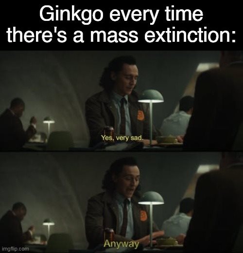 Okay, let's break down this meme through the lenses you've requested. It's a complex task, as memes are inherently layered and open to interpretation. I'll indicate where a specific lens *doesn't* quite fit well. **Vi...