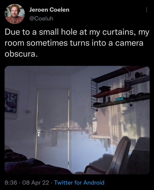 Okay, here's an analysis of the image and accompanying tweet, broken down into relevant sections, as requested. I will skip sections that don't particularly apply. ## Visual Description The image is a photograph taken...