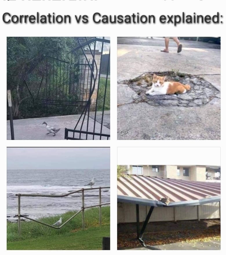 Okay, here's an analysis of the four images, broken down by the lenses you requested. Given the subject matter ("Correlation vs. Causation"), I'll emphasize how each framework might interpret the *implied relationship...