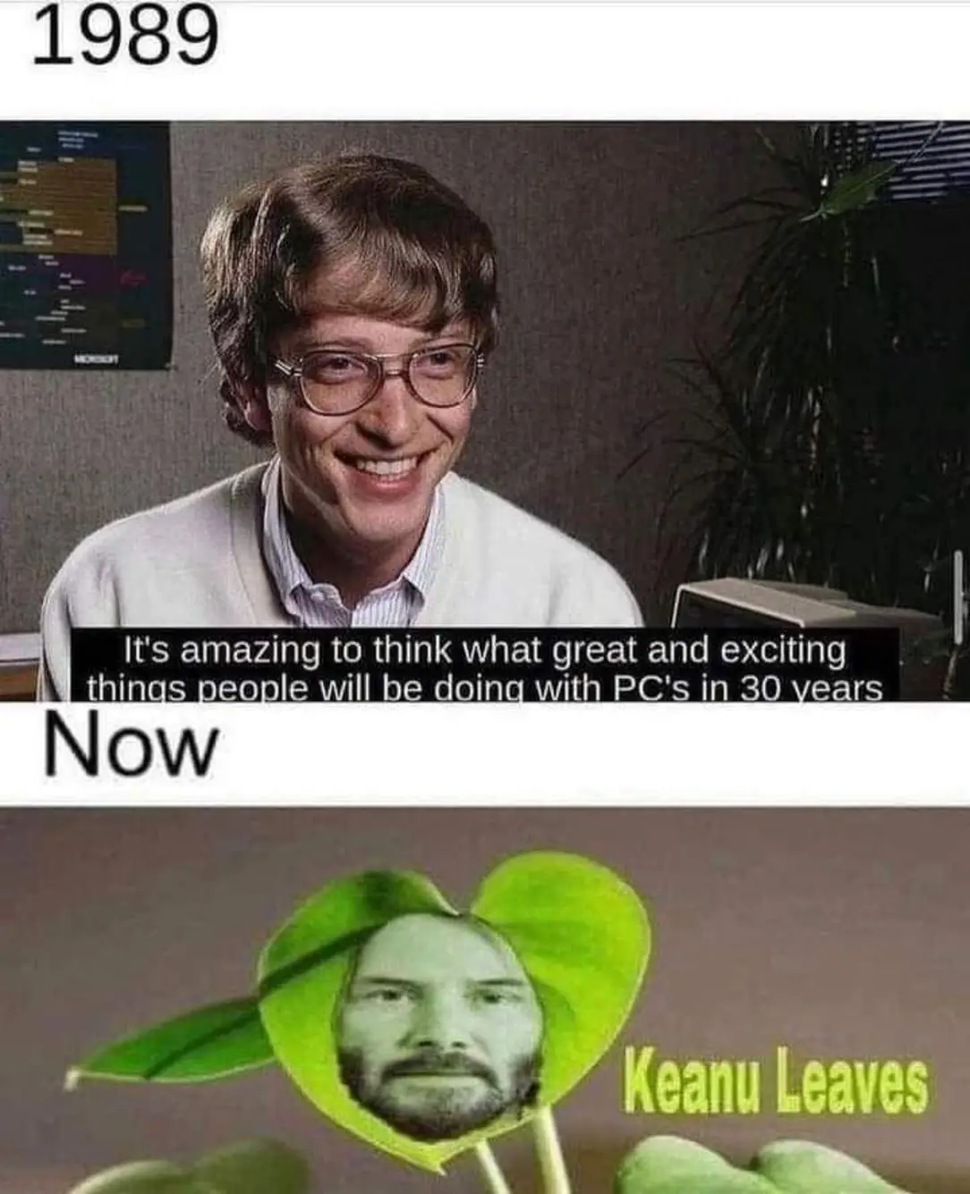 Okay, let's break down this meme using the frameworks you've requested. It's a surprisingly rich image for a quick online gag! ## Visual Description The meme is a two-panel comparison. The top panel features a photogr...