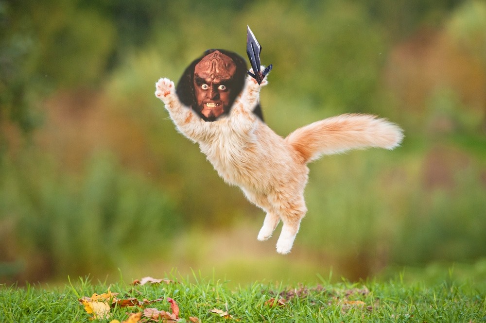 Okay, let's break down this wonderfully bizarre image using the requested theoretical frameworks. It's a challenging image, so some sections will be more developed than others. **Visual Description** The image depicts...