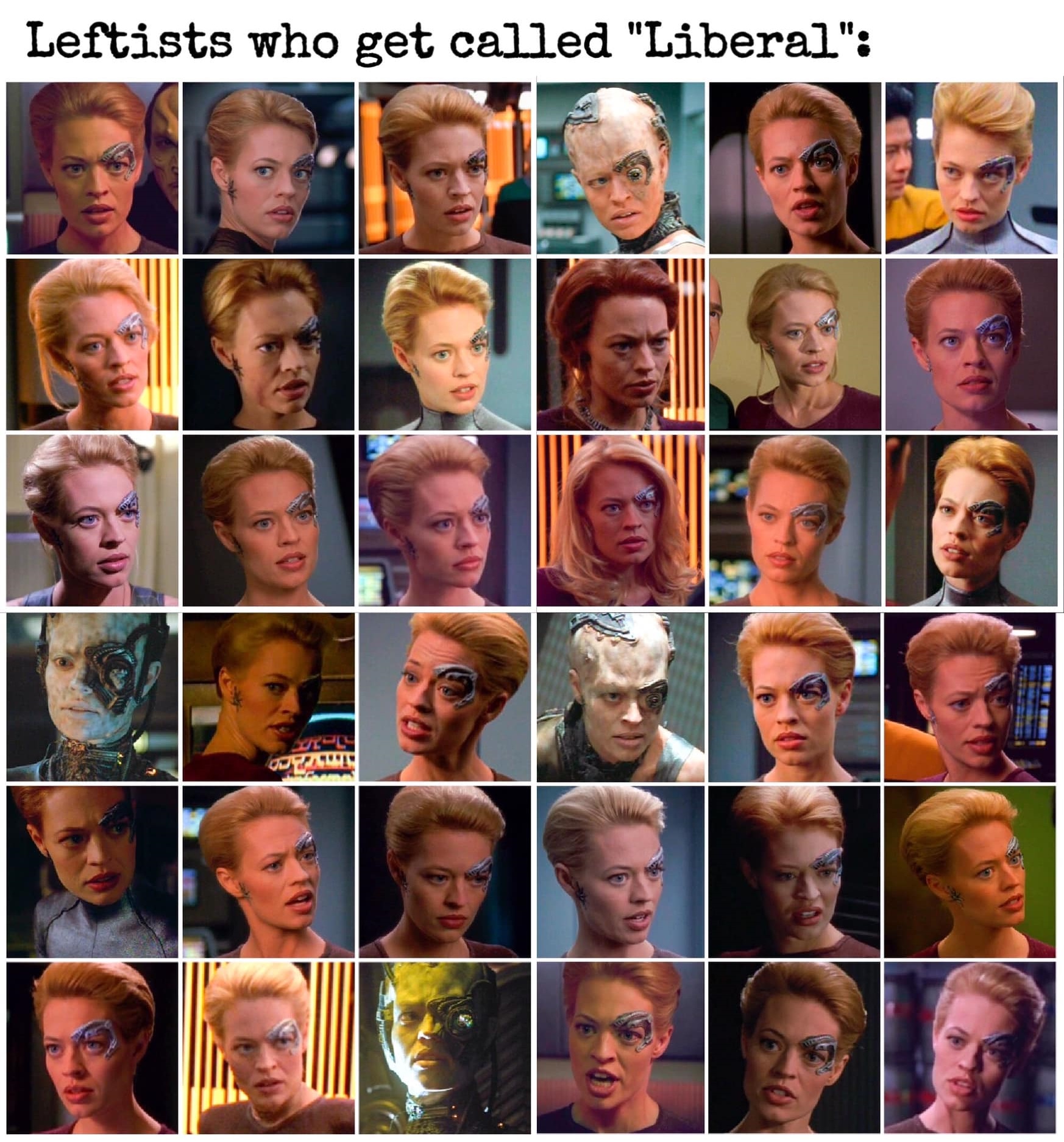 Okay, let's break down this image, titled "Leftists who get called 'Liberal,'" with the requested analytical lenses. The image is a grid of close-up shots of Deanna Troi, a character from *Star Trek: The Next Generati...