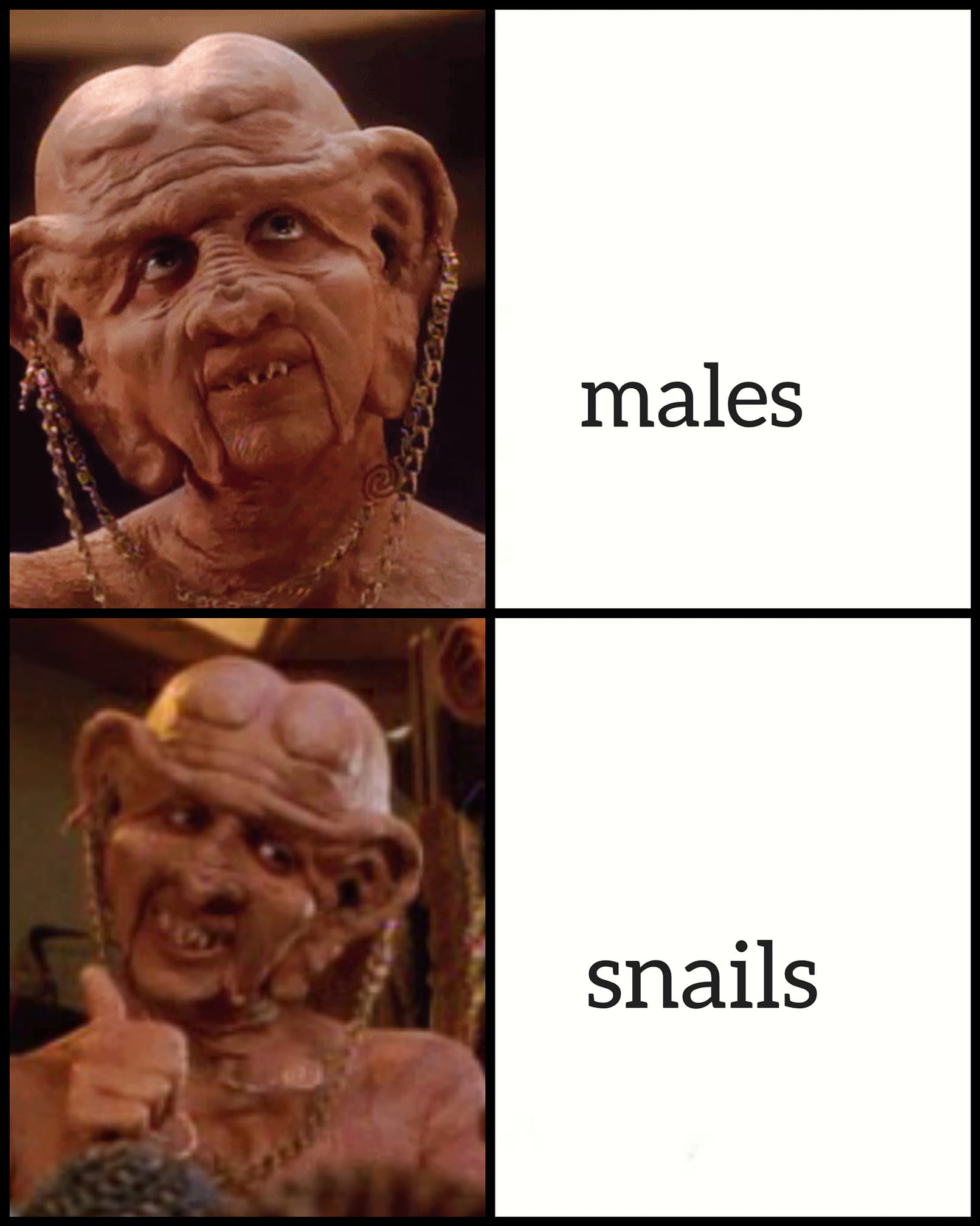 Okay, let's break down the visual arrangement and the provided labels ("males" and "snails") through several theoretical lenses. This is a rather odd pairing, so the analysis will be necessarily interpretive and specu...