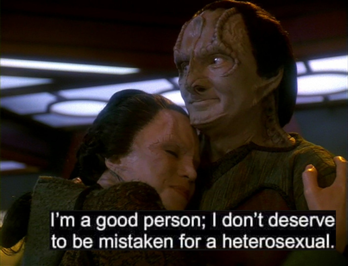 Okay, let's break down this image and the quoted phrase – "I’m a good person; I don’t deserve to be mistaken for a heterosexual" – through the lenses you requested. It's a meme originally from Star Trek: Voyager, feat...