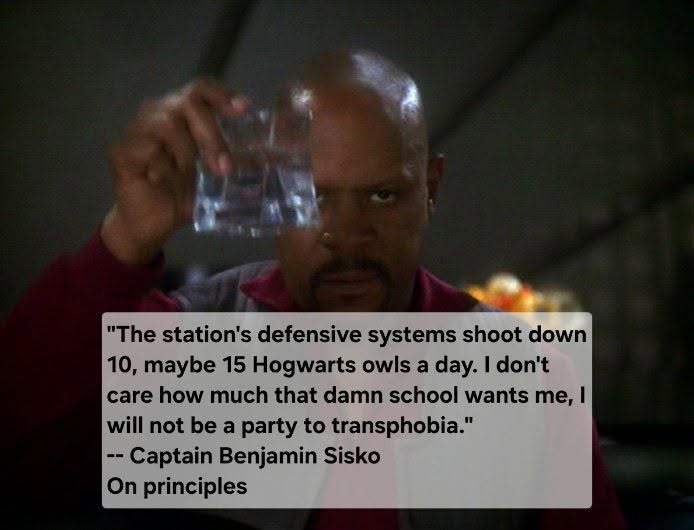 This meme image features the "Torless Sisko" character, who is the most famous "Queer Sisko" in Star Trek fandom. While he lacks a crew chief, this specific version is celebrated by fans for his intense, angry persona...