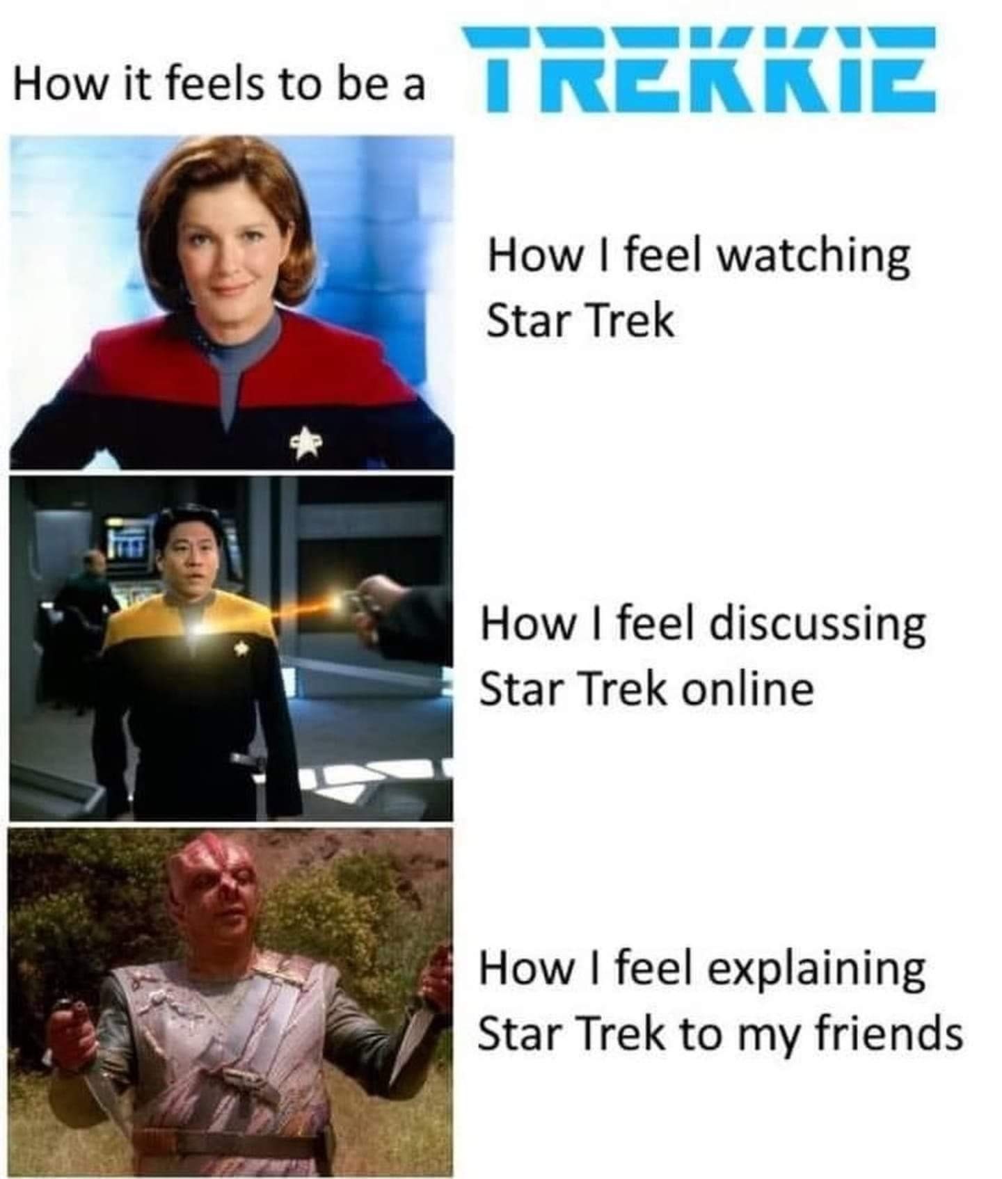 Okay, let's break down this meme using the requested theoretical frameworks. It's a clever meme leveraging character expression to denote the varying emotional states associated with different levels of *Star Trek* en...