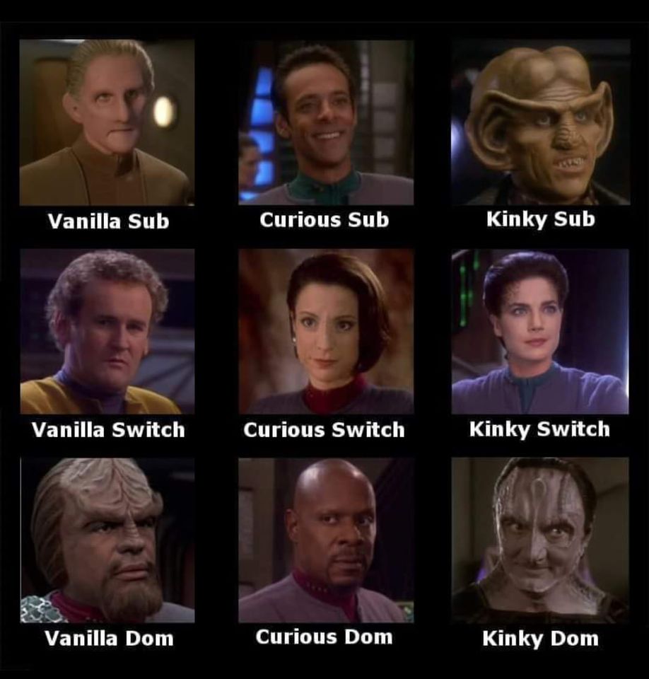 Okay, here's an analysis of the image presented, categorized as requested. Given the strong connotations implied by the labeling ("Vanilla Sub," "Kinky Dom," etc.), the most applicable lenses are those dealing with po...