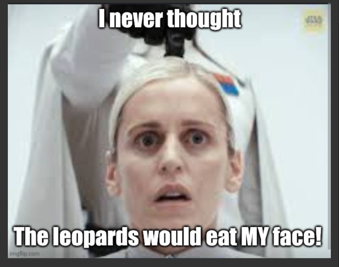 Okay, let's break down this meme using the requested theoretical frameworks. It's a delightfully bizarre image, so some sections will be more applicable than others. ## Visual Description The image is a screen capture...