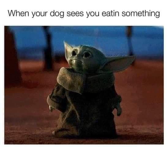Okay, let's break down this meme ("Baby Yoda/Grogu looking intensely at someone eating") through the lenses you requested. I'll skip sections that don't really apply. **Visual Description** The image is a still from "...